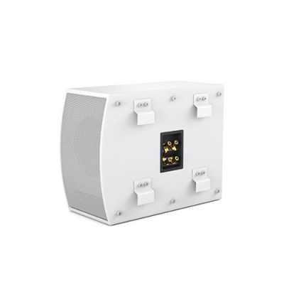 Трансляционный сабвуфер с кроссовером SUBone model C-6/W/CR/T