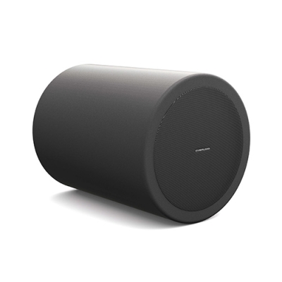 Подвесная двухполосная акустическая система Hi Fi класса CUP5:8RBL