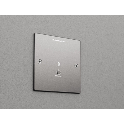 Настенная панель удаленного подключения по Bluetooth PW-BT/BL