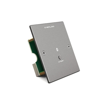 Настенная панель удаленного подключения по Bluetooth PW-BT/BL