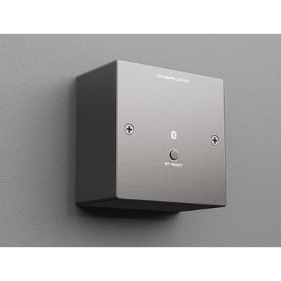 Настенная панель удаленного подключения по Bluetooth PW-BT/BL