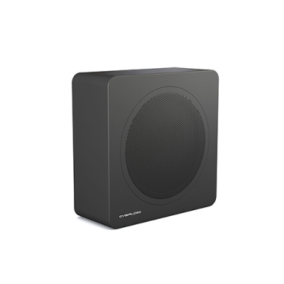 Универсальный пассивный сабвуфер BASE-12V2/BL-UNI