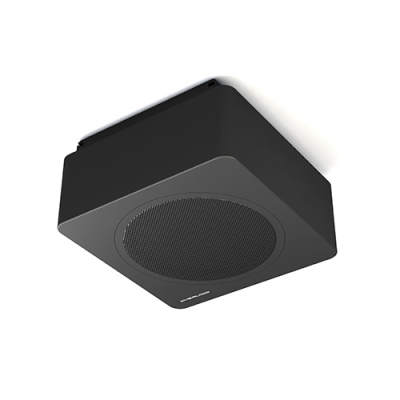 Универсальный пассивный сабвуфер BASE-12V2/BL-UNI