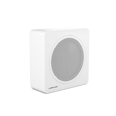 Универсальный пассивный сабвуфер BASE-12V2/W-UNI