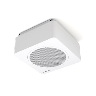 Универсальный пассивный сабвуфер BASE-12V2/W-UNI